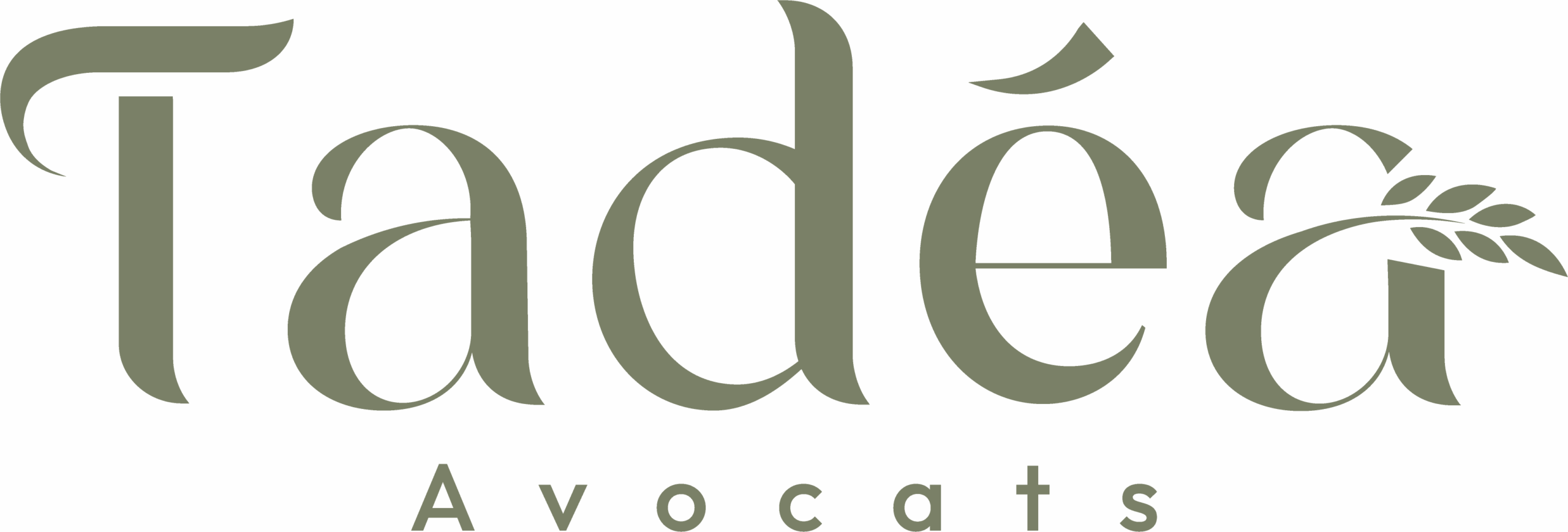 Tadéa Avocats